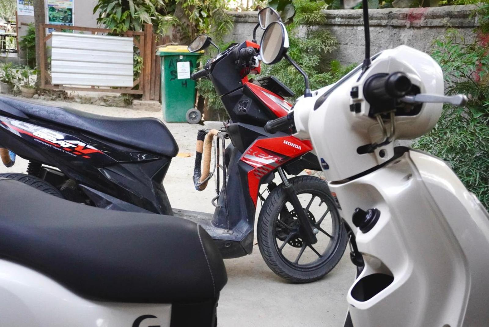 Roby Homestay *